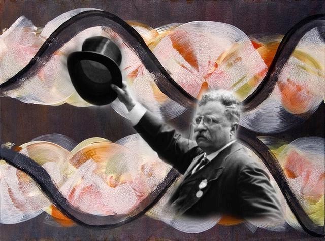 Hats Off by Laura Roosevelt